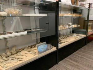 Hampton House BOTW Gallery